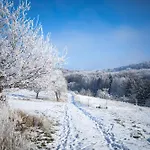 Idyllisches Haeuschen Im Gruenen Roßbach