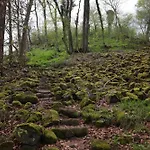 Idyllisches Haeuschen Im Gruenen Roßbach