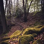 Idyllisches Haeuschen Im Gruenen *