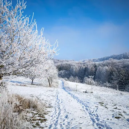 Idyllisches Haeuschen Im Gruenen Roßbach