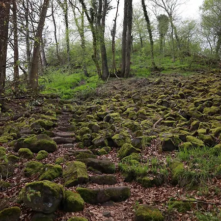 Idyllisches Haeuschen Im Gruenen Mit Whirlpool Roßbach