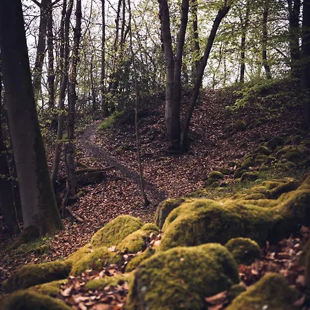 Idyllisches Haeuschen Im Gruenen *