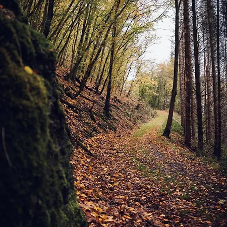 Idyllisches Haeuschen Im Gruenen Mit Whirlpool *