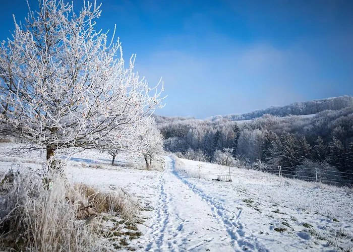 Idyllisches Haeuschen Im Gruenen Mit Whirlpool Roßbach