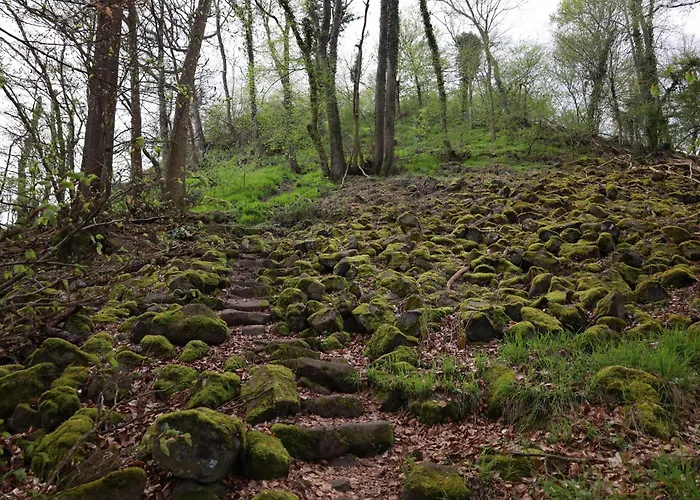 Idyllisches Haeuschen Im Gruenen Roßbach