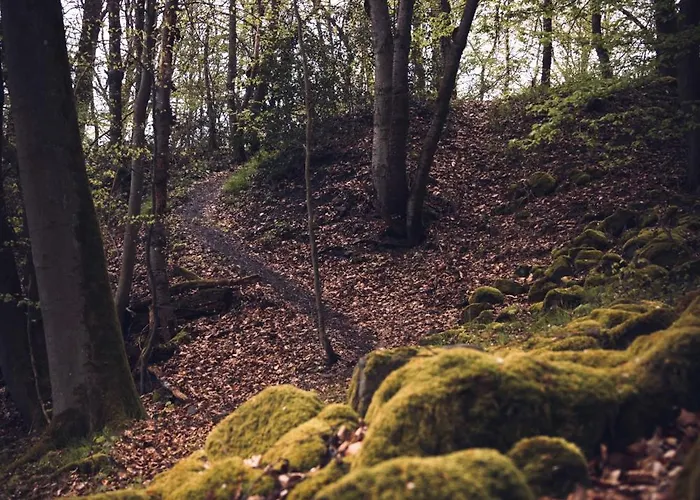 Idyllisches Haeuschen Im Gruenen Mit Whirlpool *