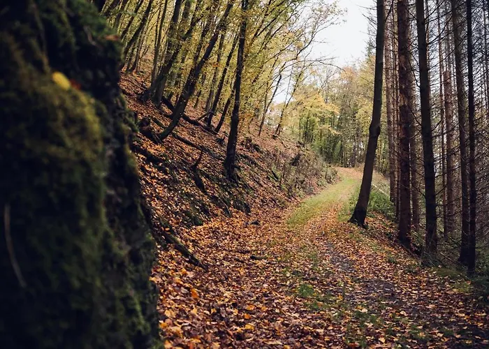 Idyllisches Haeuschen Im Gruenen Mit Whirlpool *
